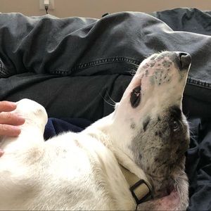 Meet your Posher, Dave